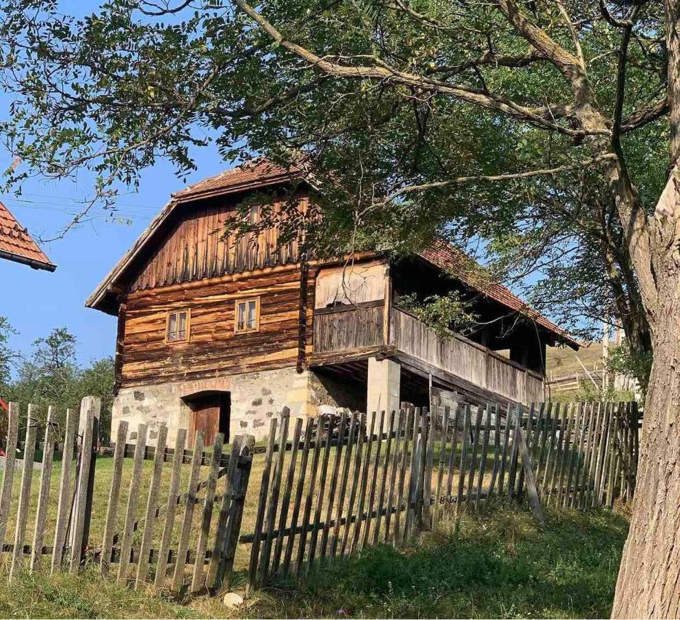 Etno Brvnara Tamara Vila Kremna Exterior foto